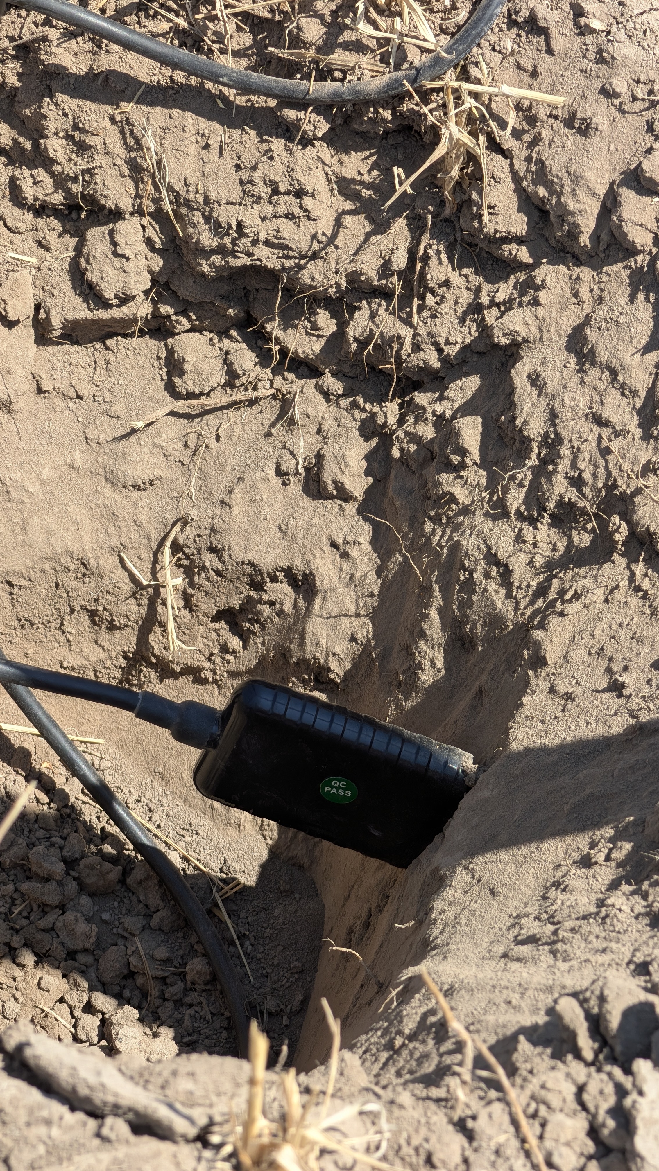 Basin Roots soil sensor buried in an open field trench, wired and ready for backfill
